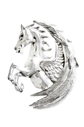Pegasus Fortuna (COM14)