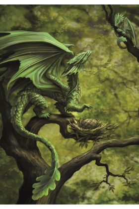Forest Dragon Card (AN75)