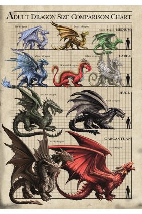 Dragon Size Chart Card (AN78)